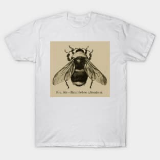 Bumblebee Bee Vintage Illustration T-Shirt